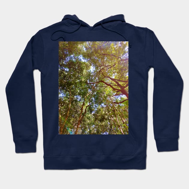 trees in the forest Hoodie by PPphatsorn